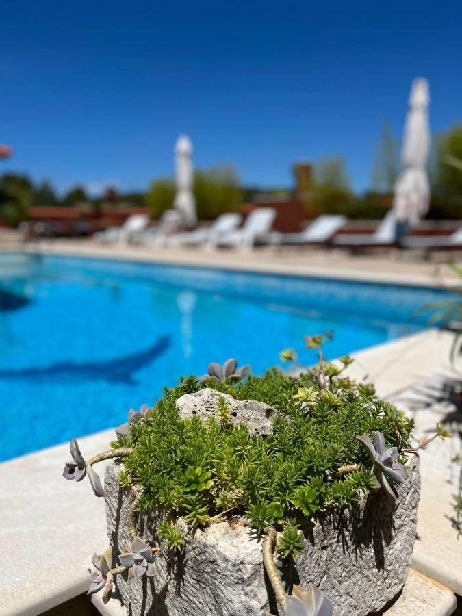 Apartment With Swimming Pool ييلسا المظهر الخارجي الصورة